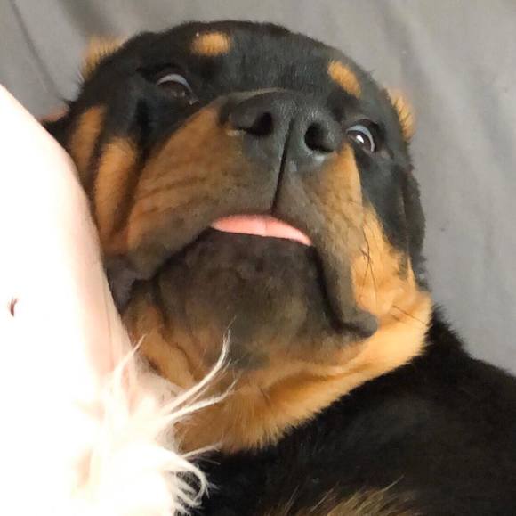 feliciahildreth